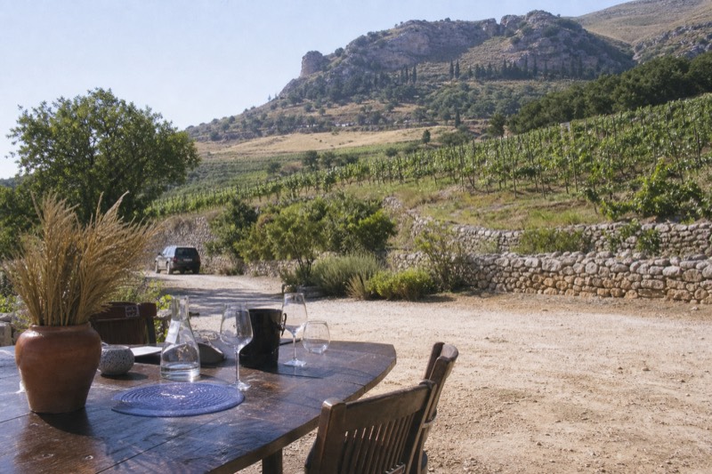 Estate Tour, 6-Wine Tasting