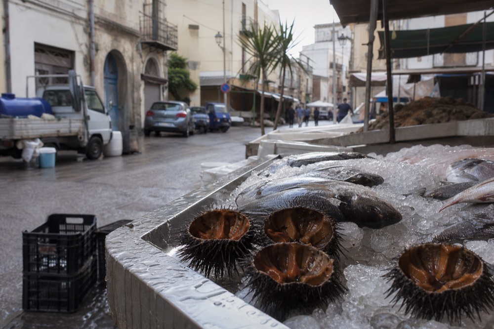 Sea urchins and fresh fish on ice at a Sicilian market stall