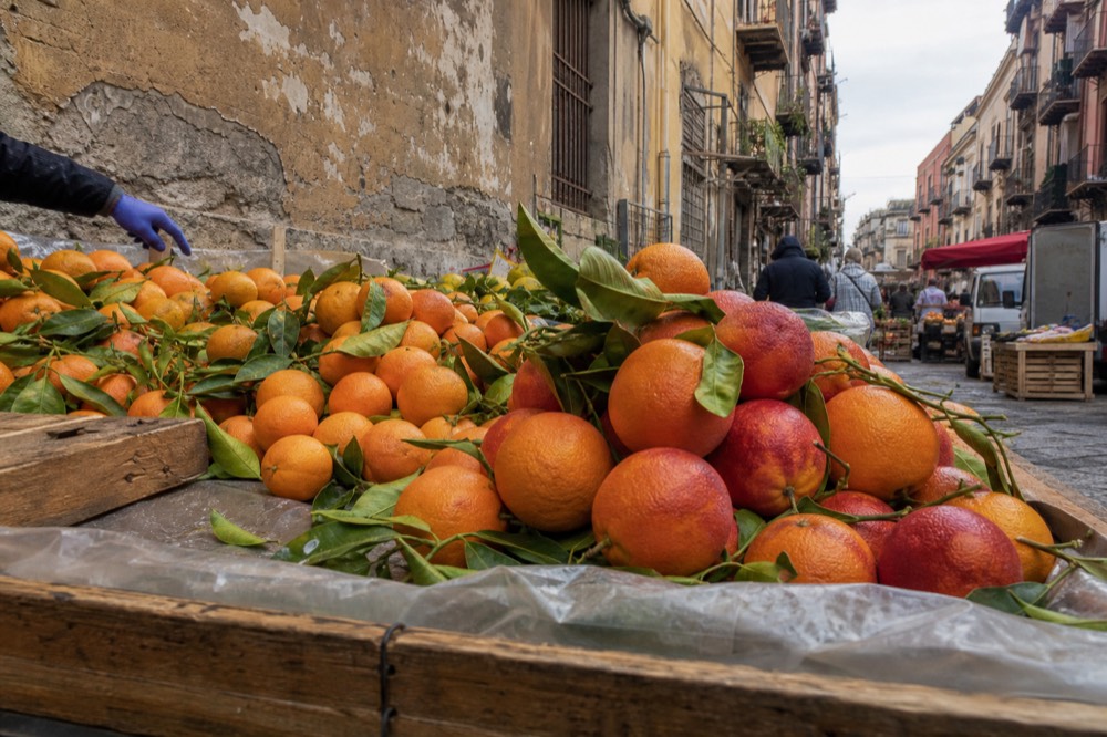 Late-season mandarins and oranges piled at a Palermo market stall
